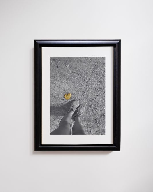 Foto - "Schloss Schönbrunn Lauf"